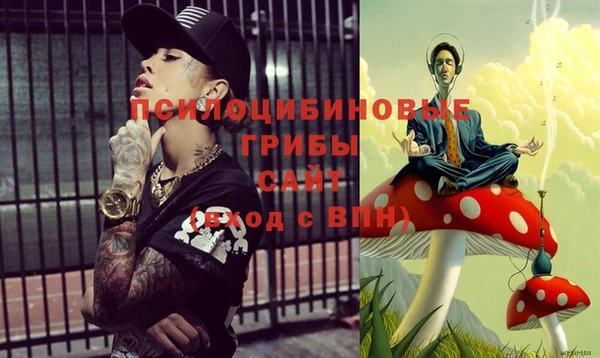 прущий лед Алексин