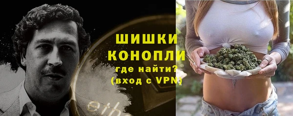 гашик Алексеевка