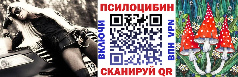 kraken ССЫЛКА  Петрозаводск  Галлюциногенные грибы мицелий  дарнет шоп 