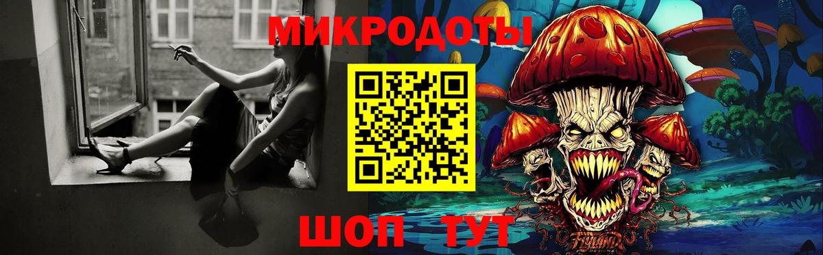 Галлюциногенные грибы мухоморы Петрозаводск